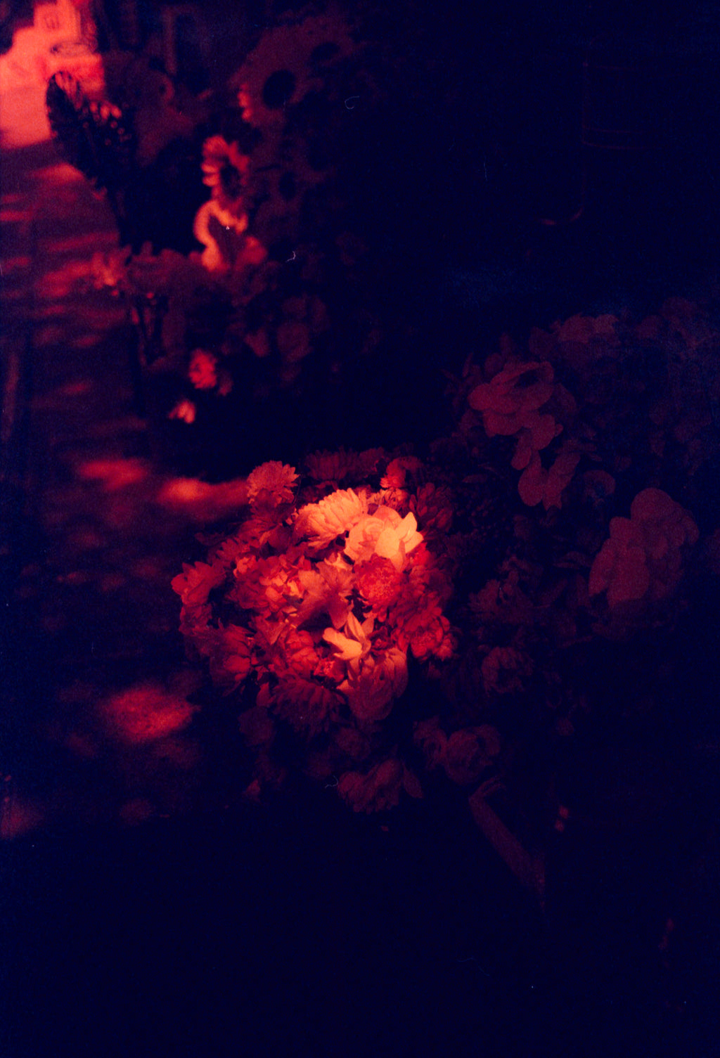 RedRum 500T | Redscale Motion Picture Film