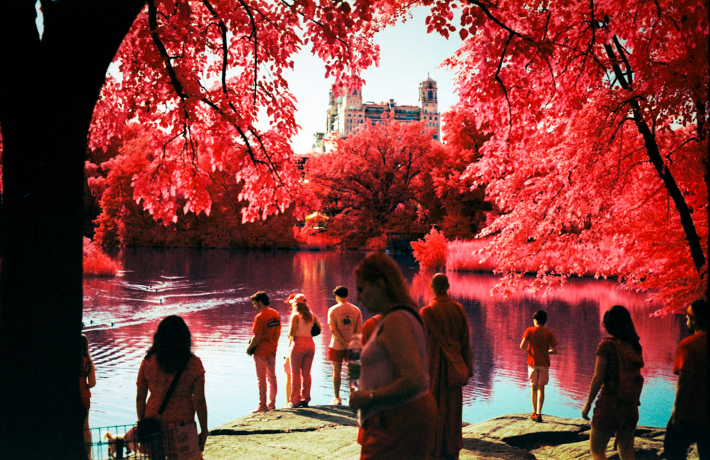 Aerochrome II Infrared | Vintage Infrared Film
