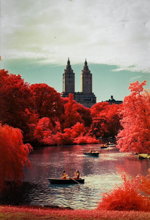 Aerochrome II Infrared | Vintage Infrared Film