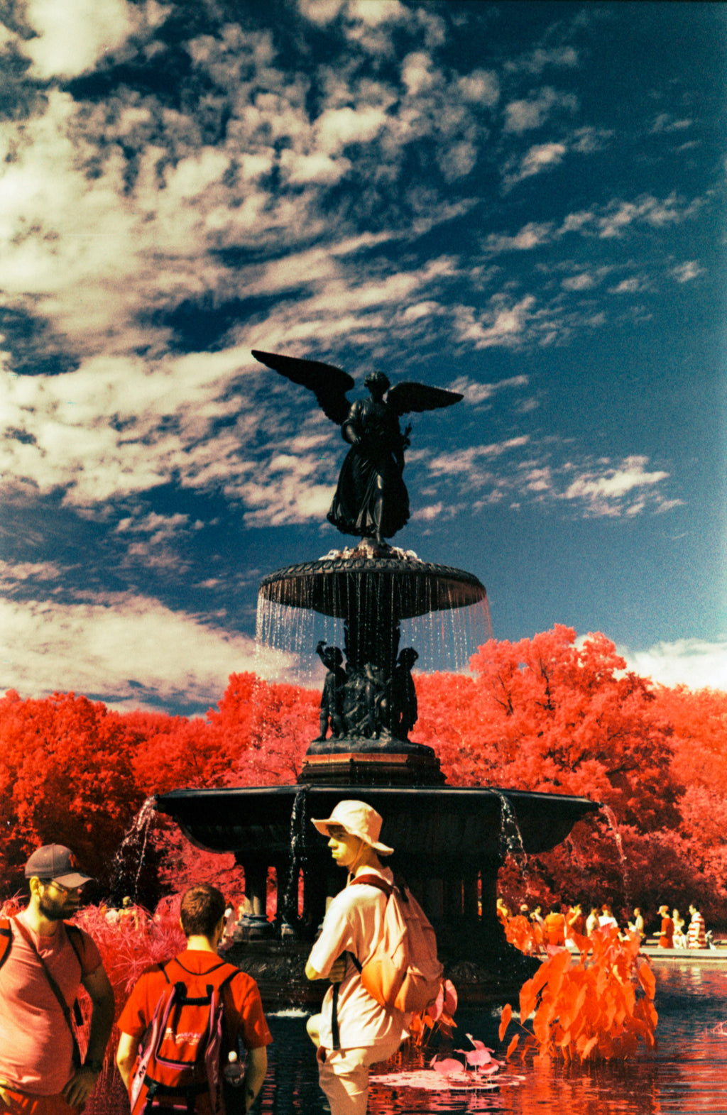Aerochrome II Infrared | Vintage Infrared Film