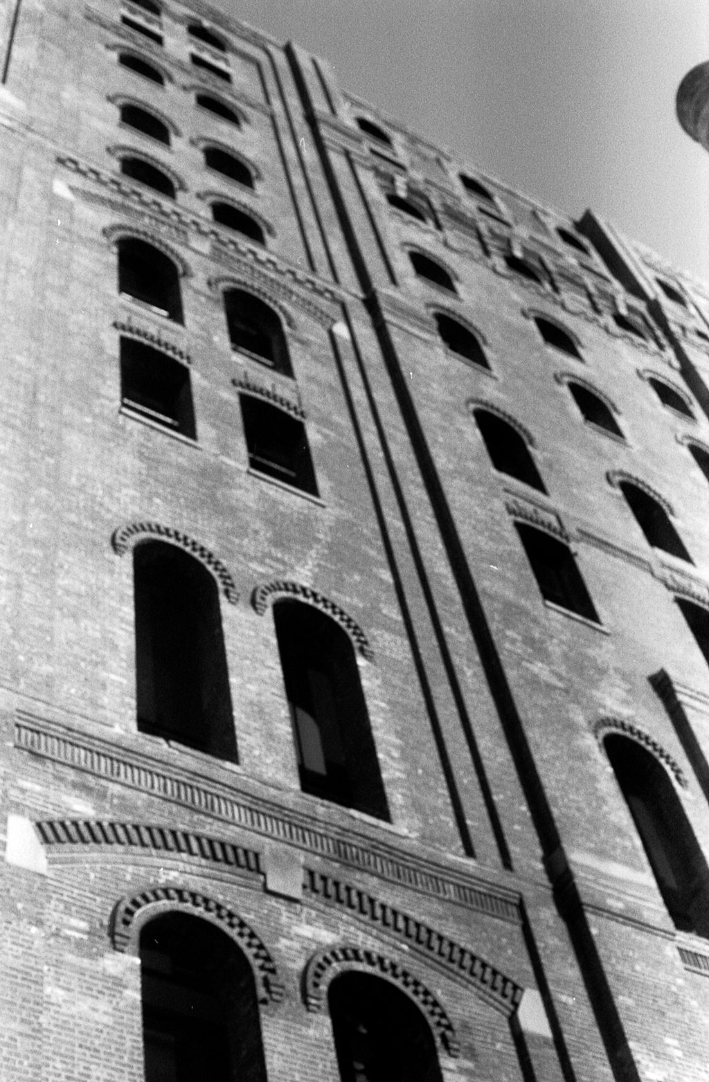 Formula X | B&W Negative