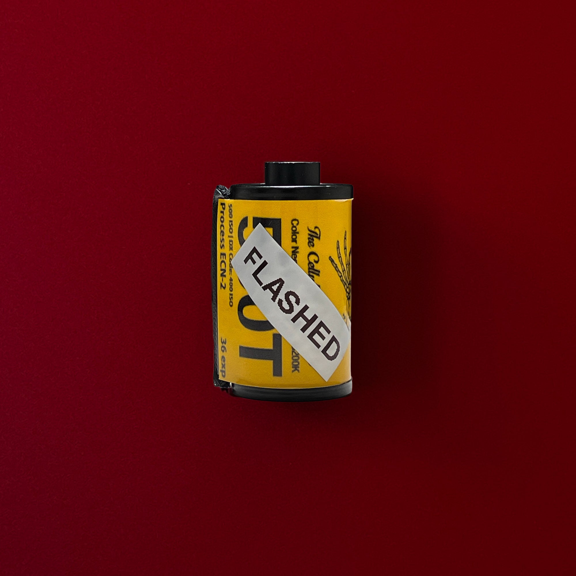 FLASHED Vision 3 500T | Color Motion Picture Film