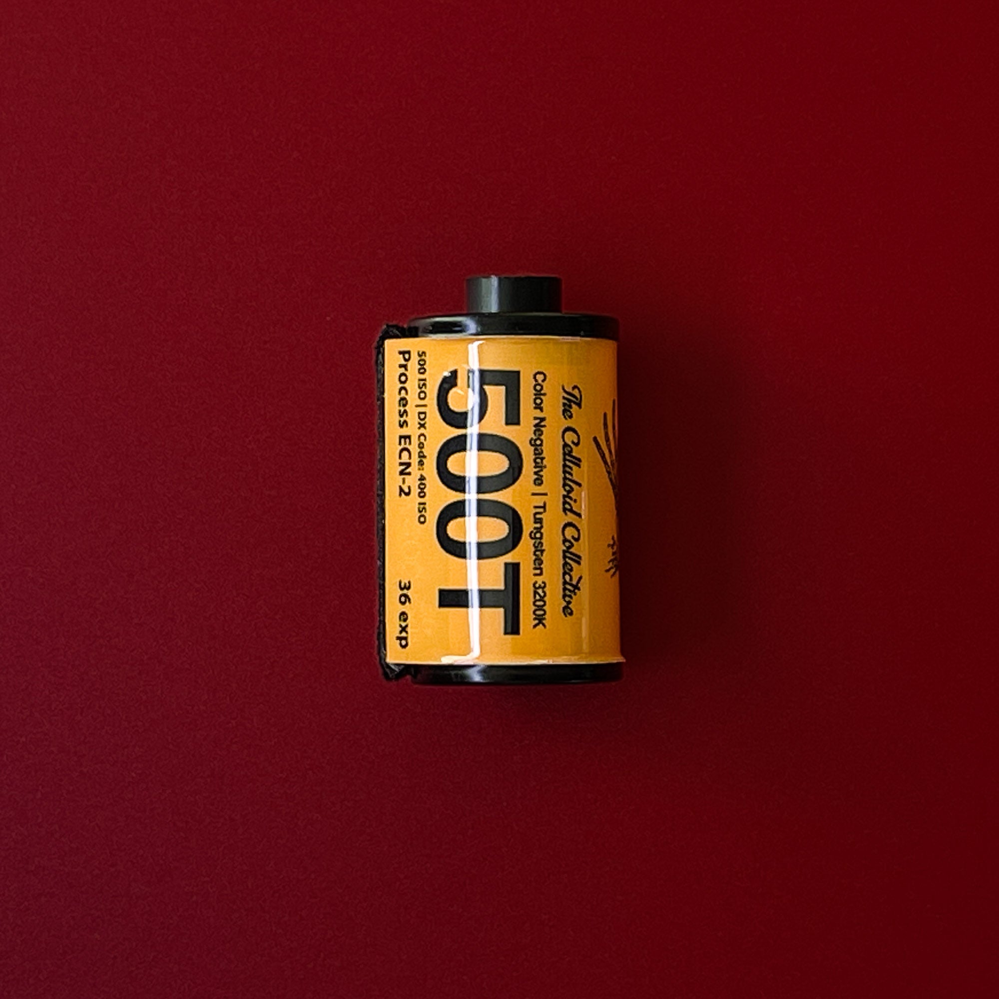 Vision 3 500T | Color Motion Picture Film