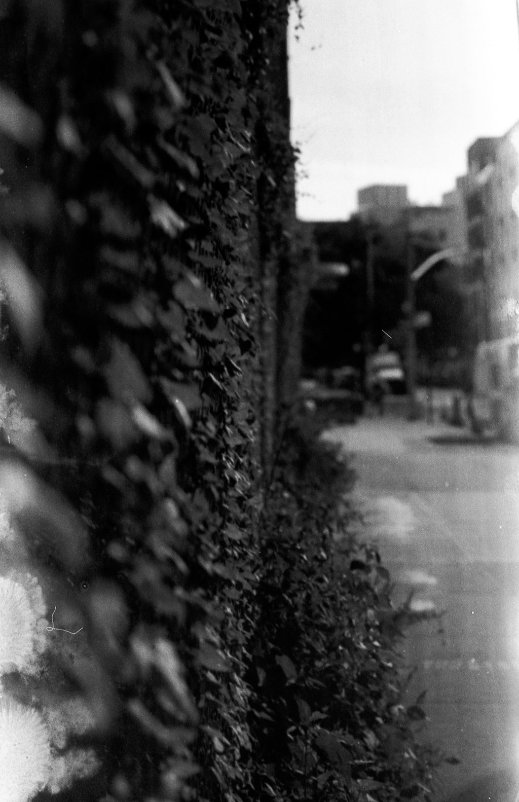 Svema FN 64 | BW Negative